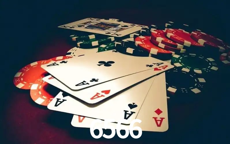 Oportunidades 6566