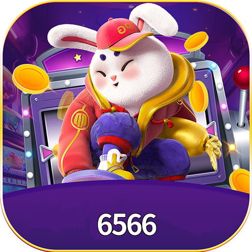 Imagem promocional da 6566 mostrando a plataforma e suas vantagens